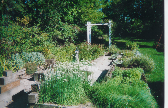 Mid August Herb Garden.jpg